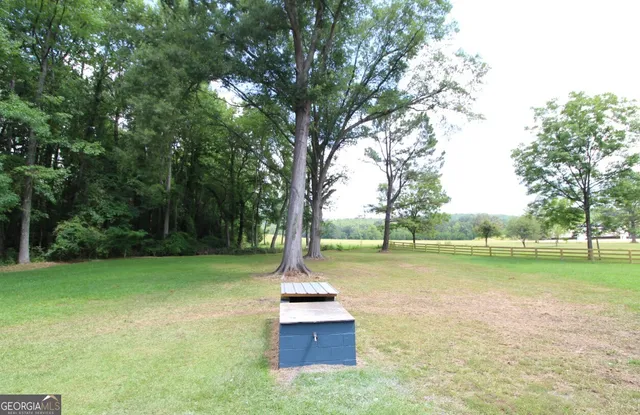 a park view with a fountain and large trees