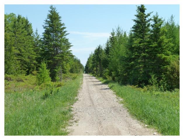 Parcel E Black Point Road Moran, MI 49760 - Photo 14 of 16 Gallery Image 14