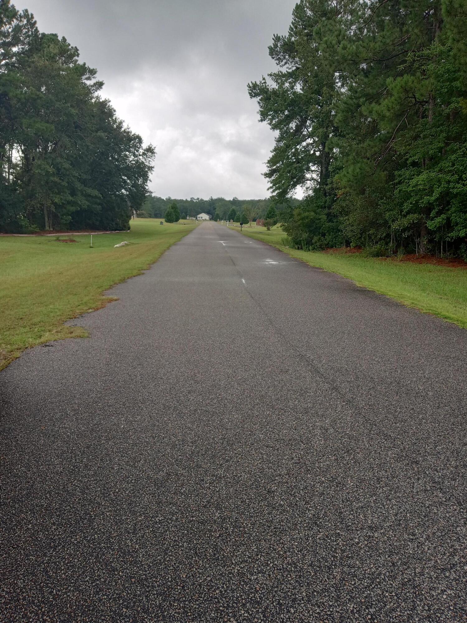523 Sugar Loaf Road Cross, SC 29436 - Photo 2 of 5 2
