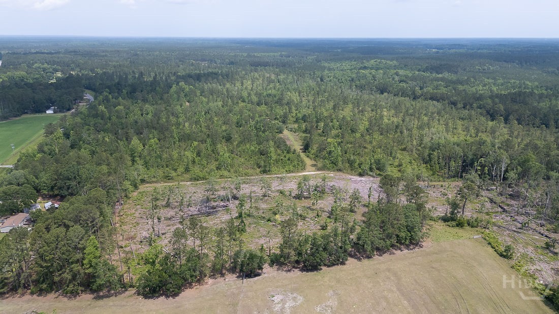 0 Old Louisville Road, Unit LOT 8 Guyton, GA 31312 - Photo 9 of 21