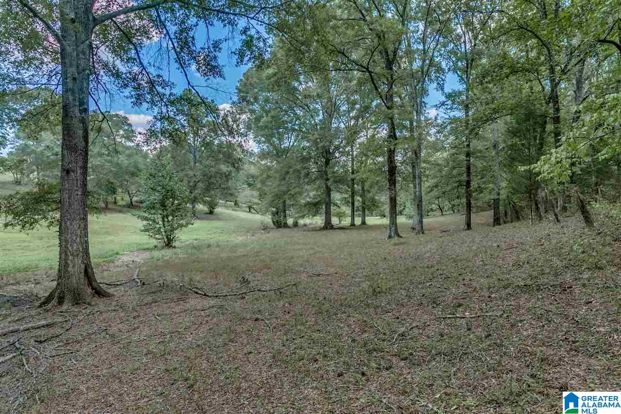 184 Jenkins Farm Road Helena, AL 35080 - Photo 14 of 25