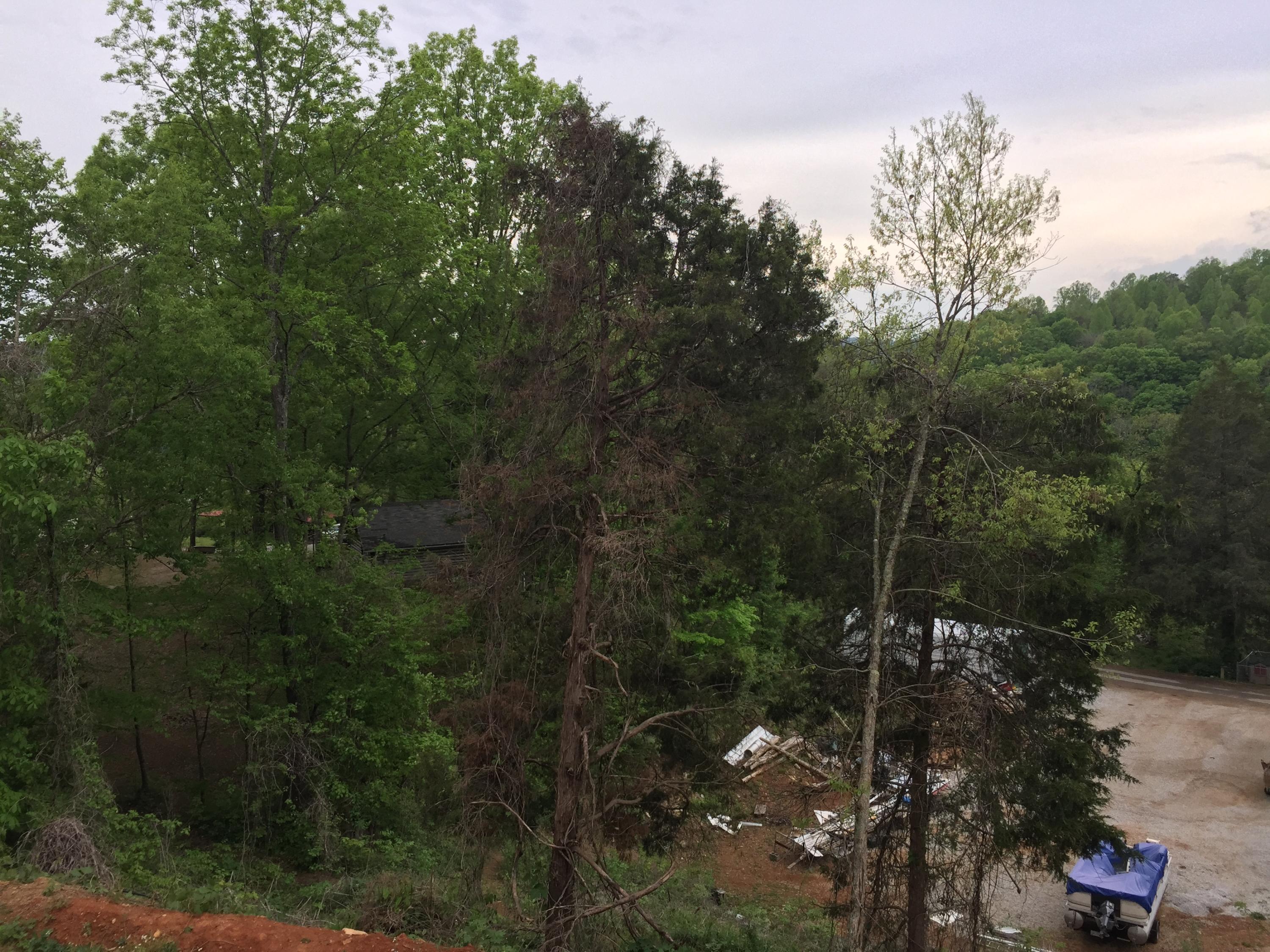 811 Straight Branch Road Speedwell, TN 37870 - Photo 17 of 29 IMG_0277