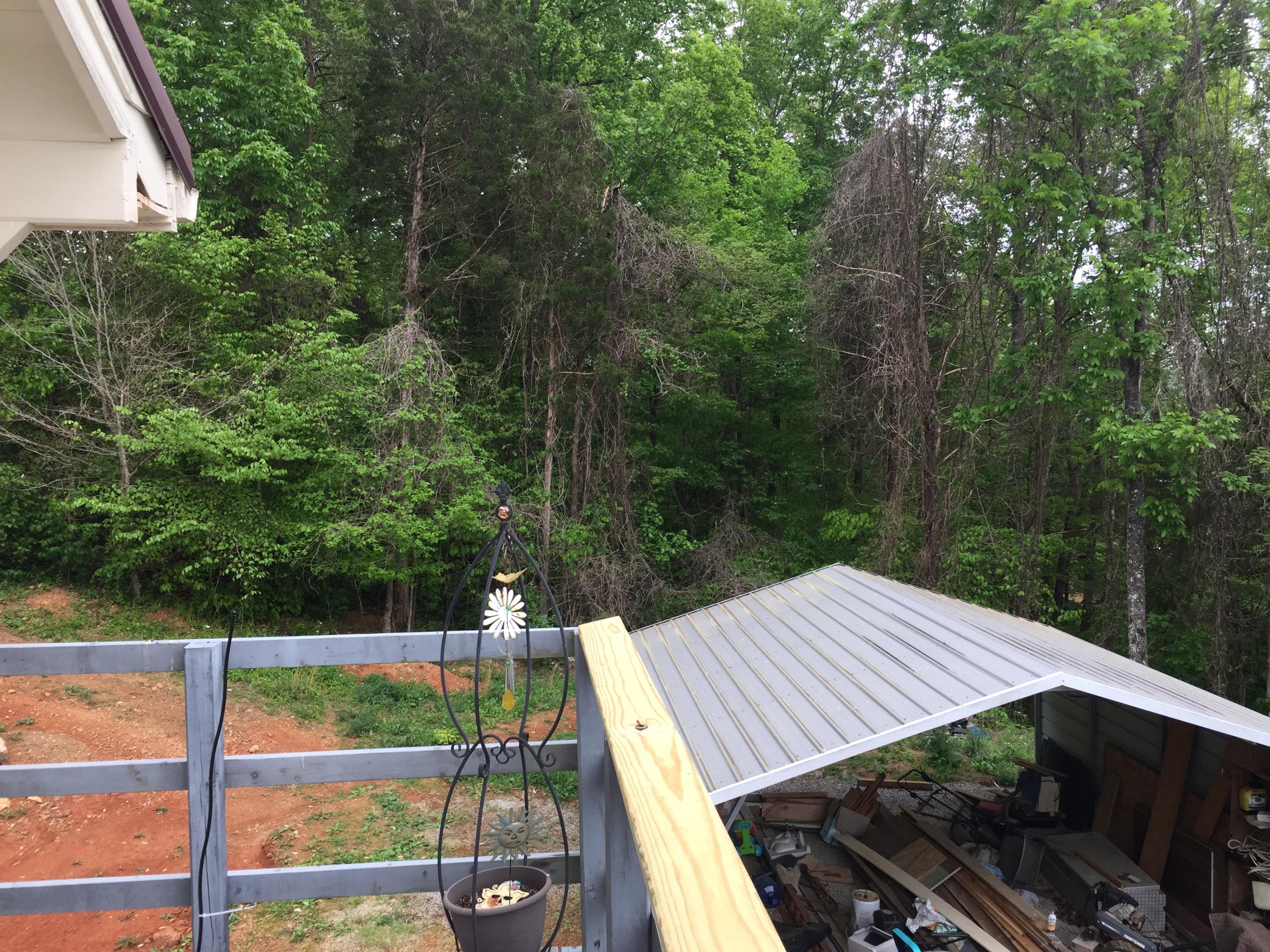 811 Straight Branch Road Speedwell, TN 37870 - Photo 18 of 29 IMG_0278