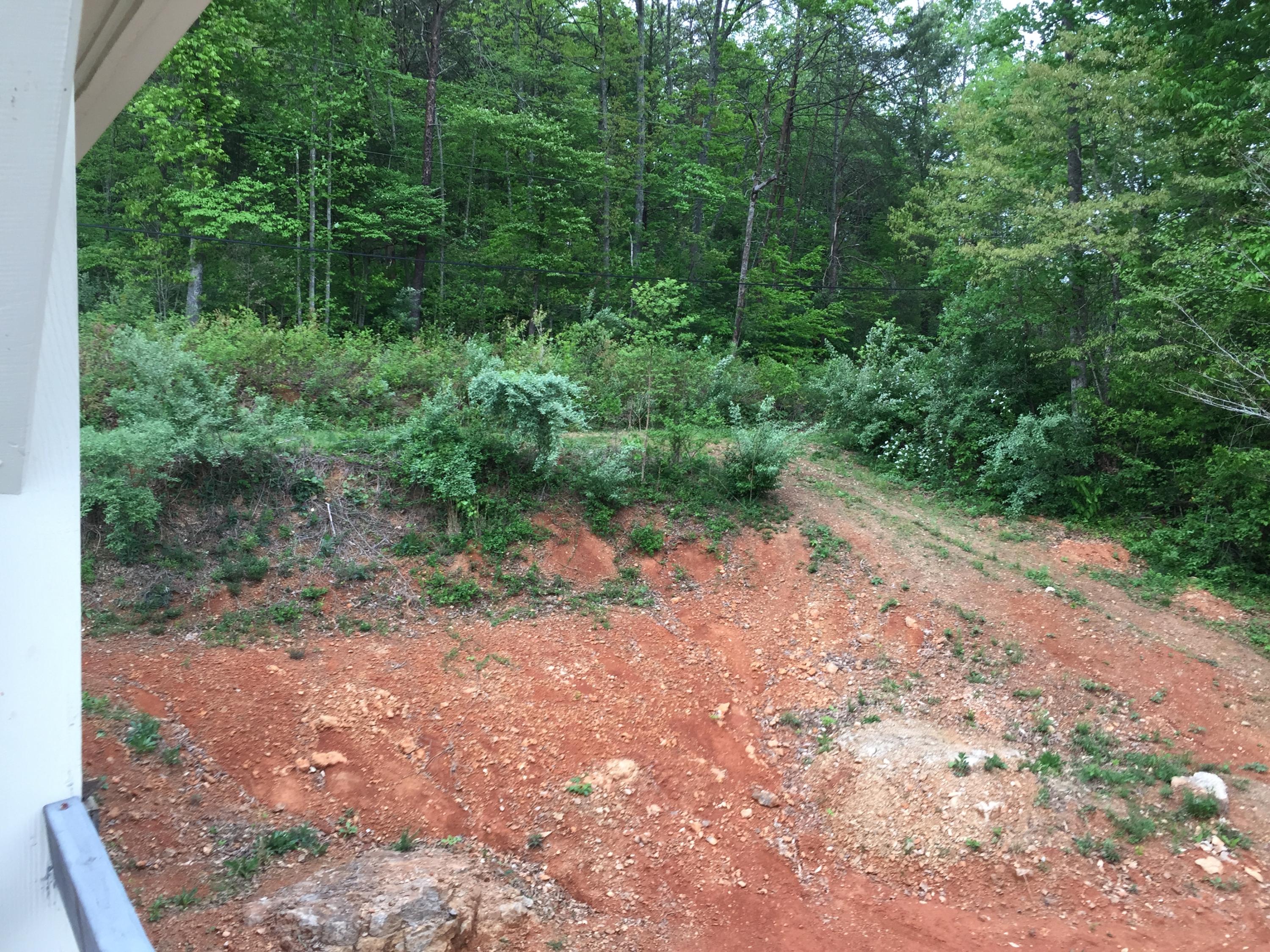 811 Straight Branch Road Speedwell, TN 37870 - Photo 19 of 29 IMG_0279