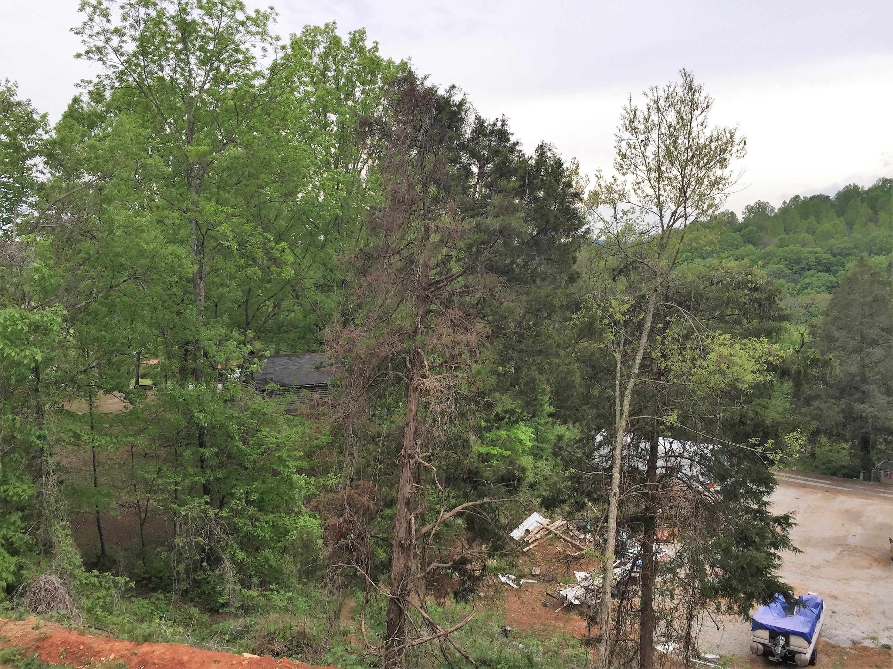 811 Straight Branch Road Speedwell, TN 37870 - Photo 29 of 29 IMG_0276