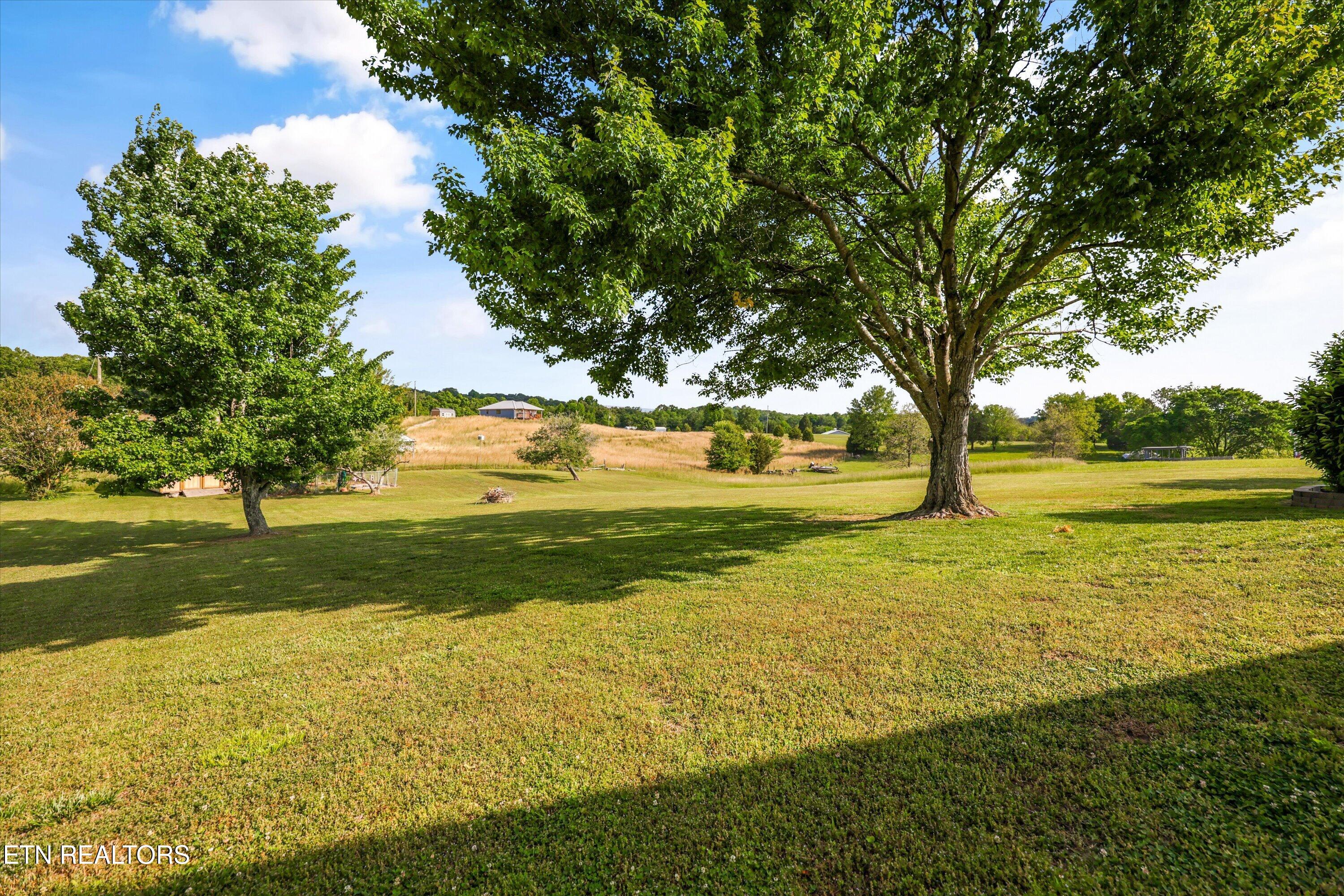 1167 Sable Road Spring City, TN 37381 - Photo 42 of 48 Back yard