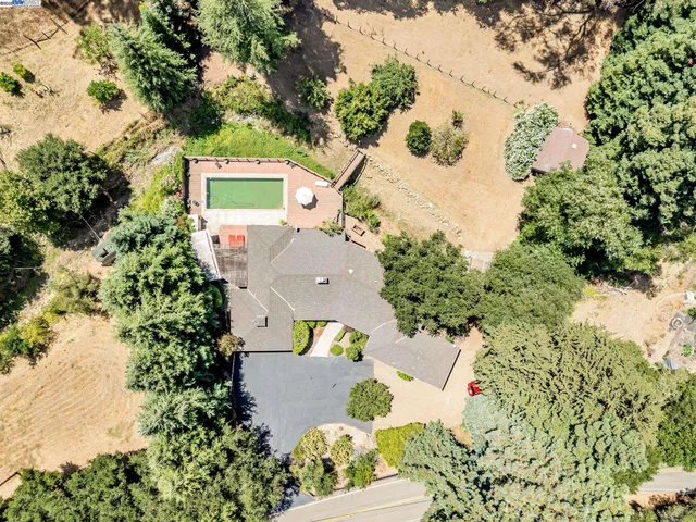 a view of a yard with a tree