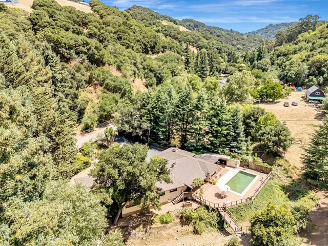 a view of a yard with plants and large trees