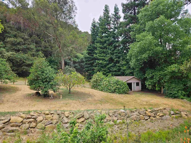 a view of backyard with green space