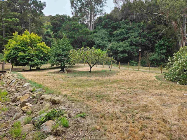 a view of outdoor space with deck and yard