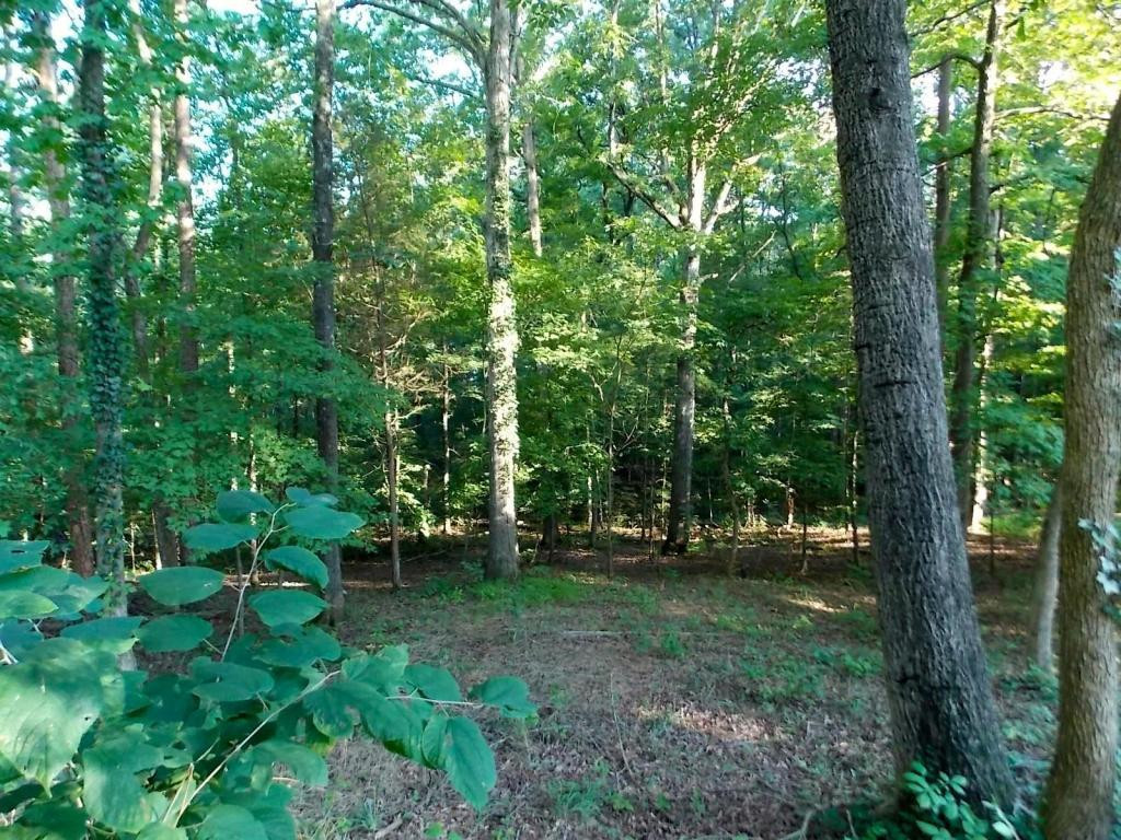 3704 Bass Mountain Road Graham, NC 27253 - Photo 20 of 22 Gallery Image 20
