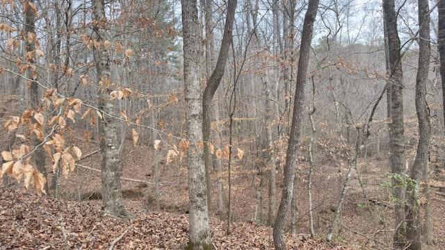 -lot4 North Helton Road Winston, GA 30187 - Photo 3 of 4