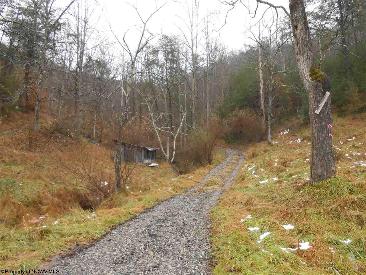 853 Grass Run Road Normantown, WV 25267 - Photo 25 of 30 Gallery Image 25