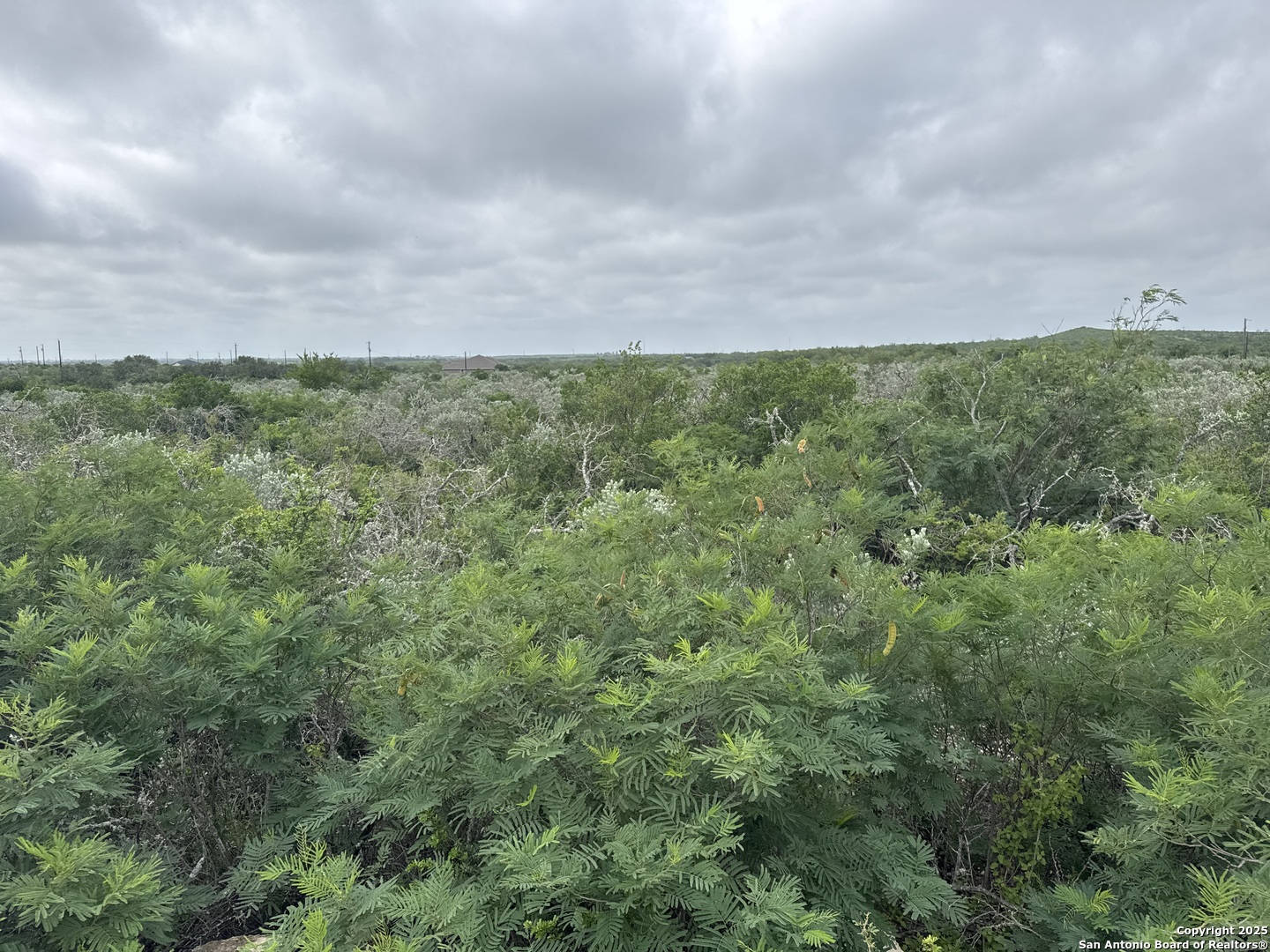 87 Palomino Hills Uvalde, TX 78801 - Photo 2 of 4 a view of a field of grass and trees