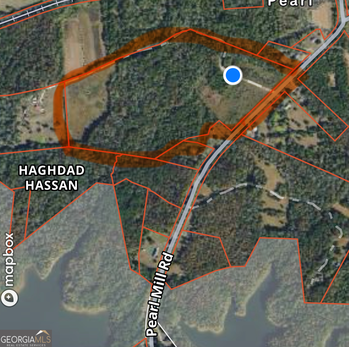 0 Pearl Mill Road Elberton, GA 30635 - Photo 5 of 27