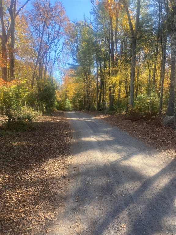 0 Yew Street Douglas, MA 01516 - Photo 3 of 13 a view of a yard with trees
