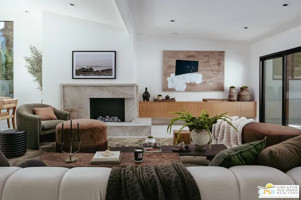 a living room with furniture potted plant and a fireplace