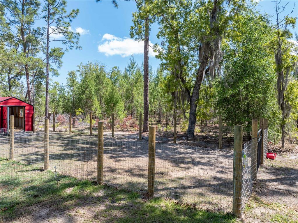 221 Magnolia Road Hawthorne, FL 32640 - Photo 34 of 41