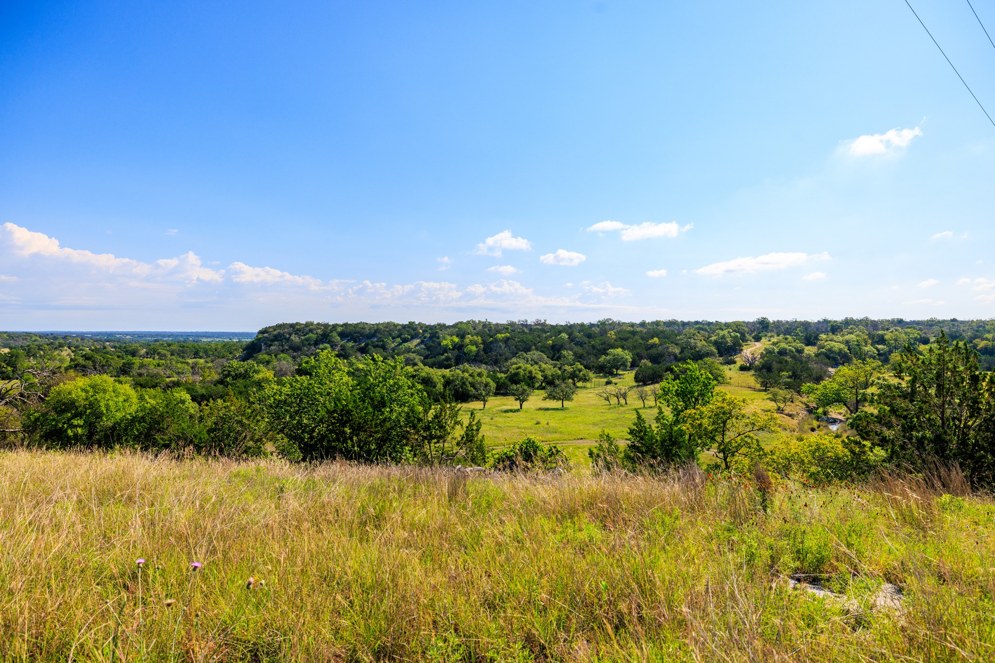 481 Living Water Ranch Road Harper, TX 78631 - Photo 4 of 30
