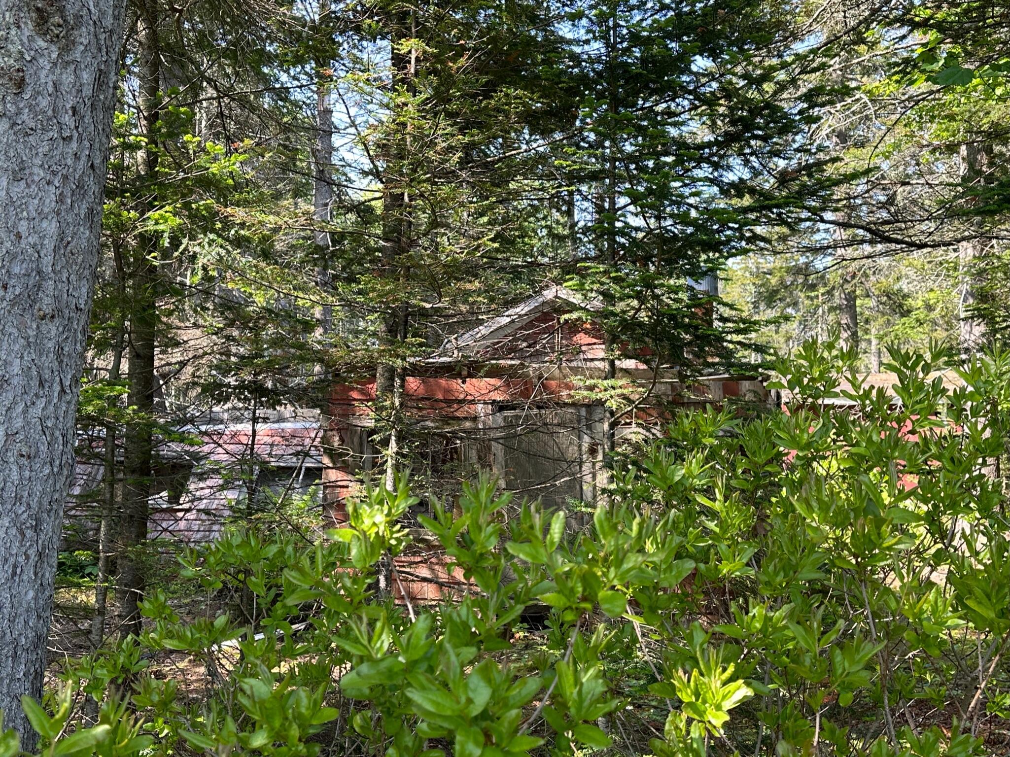 31 Fay Road Spruce Head, ME 04859 - Photo 47 of 77 86C41139-10D8-4B48-B432-8045A0D00BB4