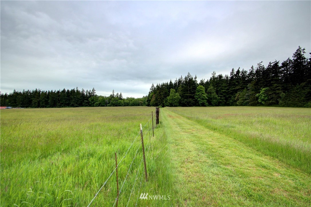 6694 Guemes Island Road Anacortes, WA 98221 - Photo 9 of 25 Gallery Image 9