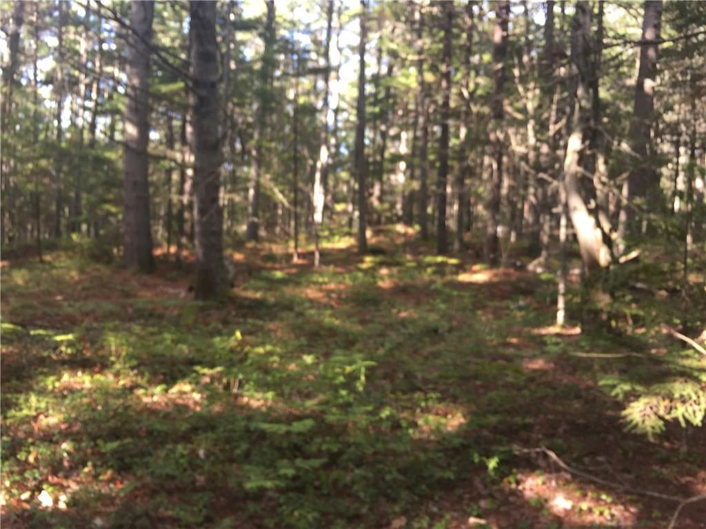 32 B Fred Brigham Road Phippsburg, ME 04562 - Photo 3 of 7 Photo
