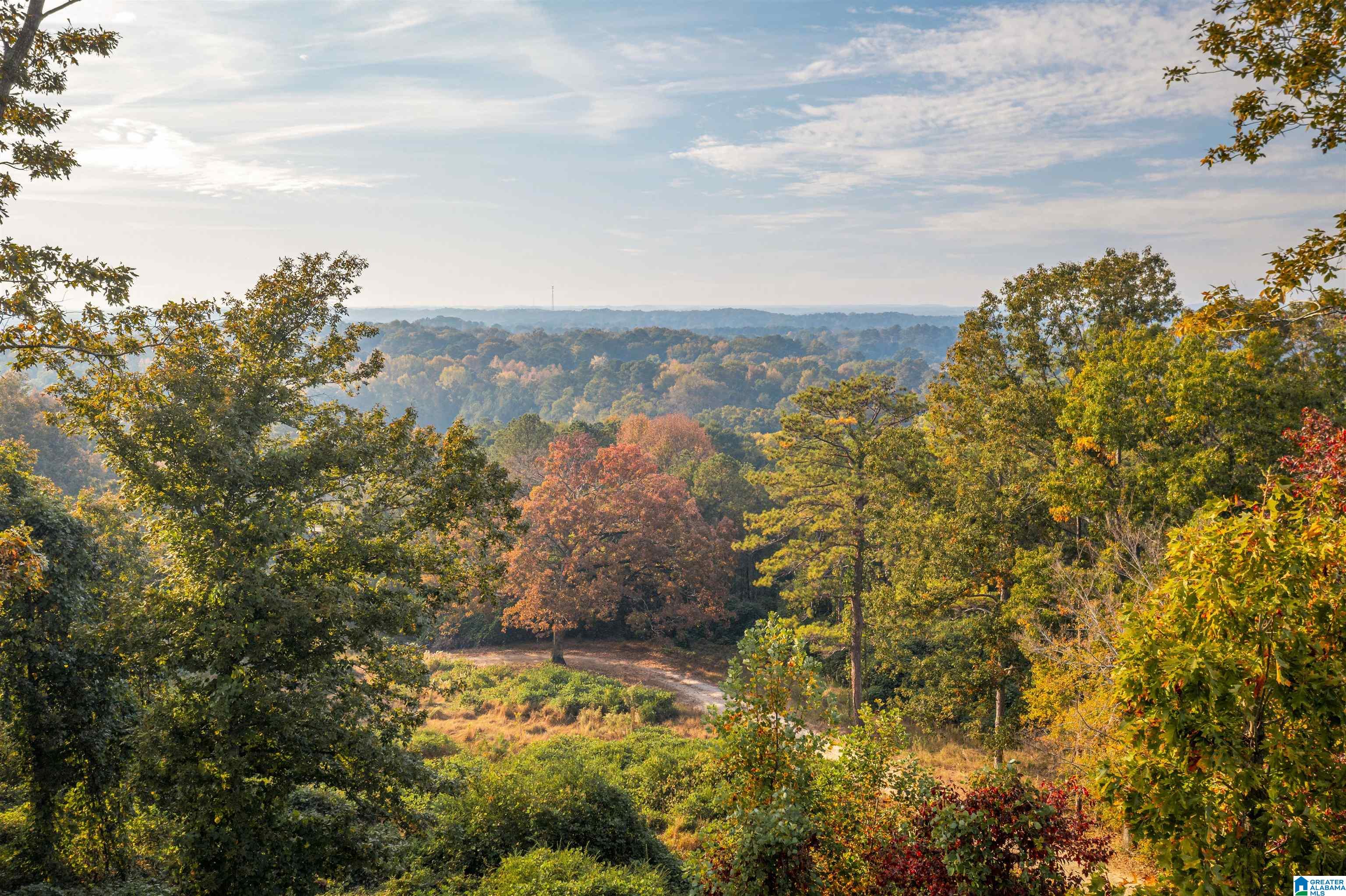 201 Cave Hill Road Weaver, AL 36277 - Photo 78 of 78
