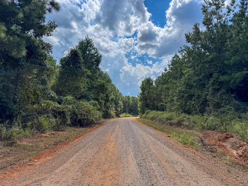 2 Provencal Vowell Mills Road Provencal, LA 71468 - Photo 2 of 16 a view of a dirt road with large trees