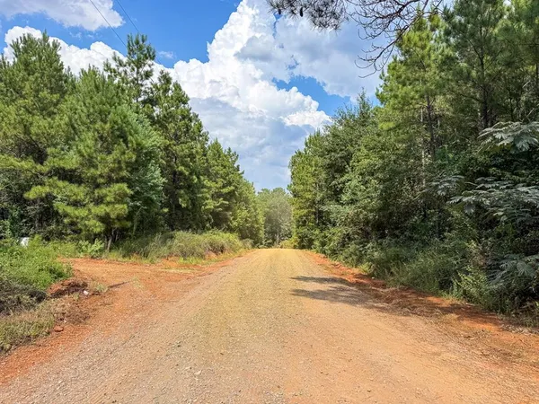 a view of a yard with plants and wooden fence