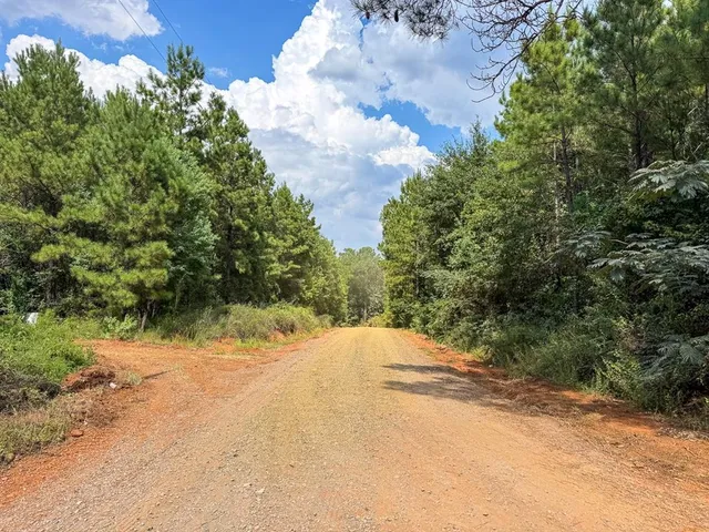 a view of a yard with plants and wooden fence