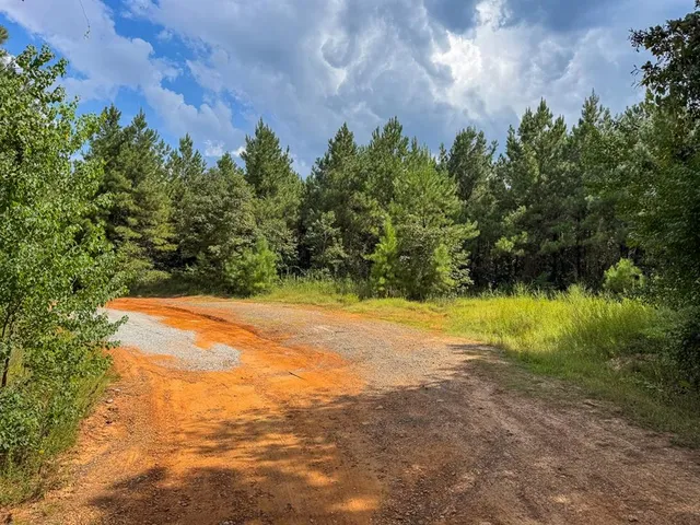 a view of a yard with a tree