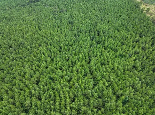 a view of a lake from a field