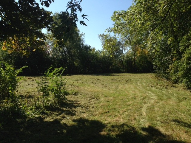 554 West Edgewood Road Lombard, IL 60148 - Photo 2 of 5 a view of garden with trees