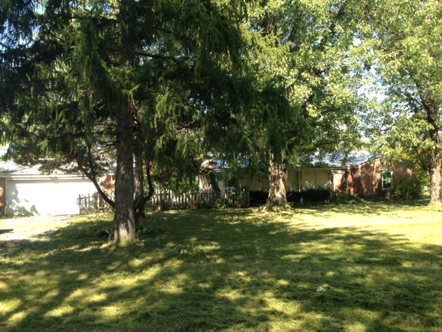 554 West Edgewood Road Lombard, IL 60148 - Photo 5 of 5 a big yard with trees