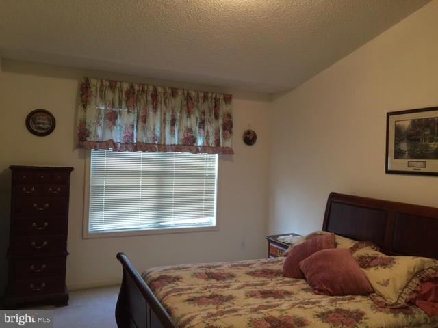 712 Ripplebrook Drive Culpeper, VA 22701 - Photo 9 of 12 Bedroom (Master)