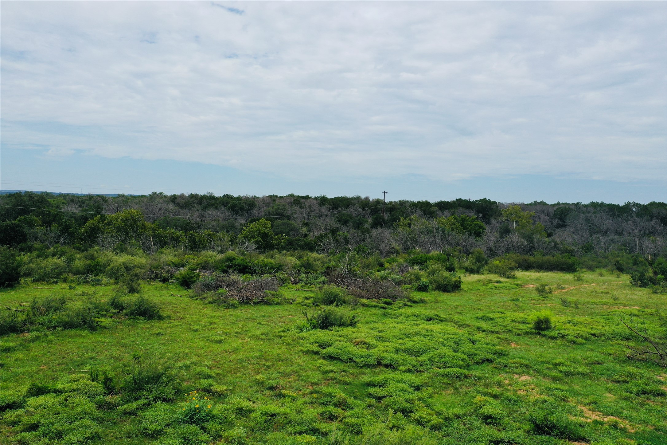 23601 Old Ferry Road, Unit 1 Spicewood, TX 78669 - Photo 11 of 33 a view of a green field