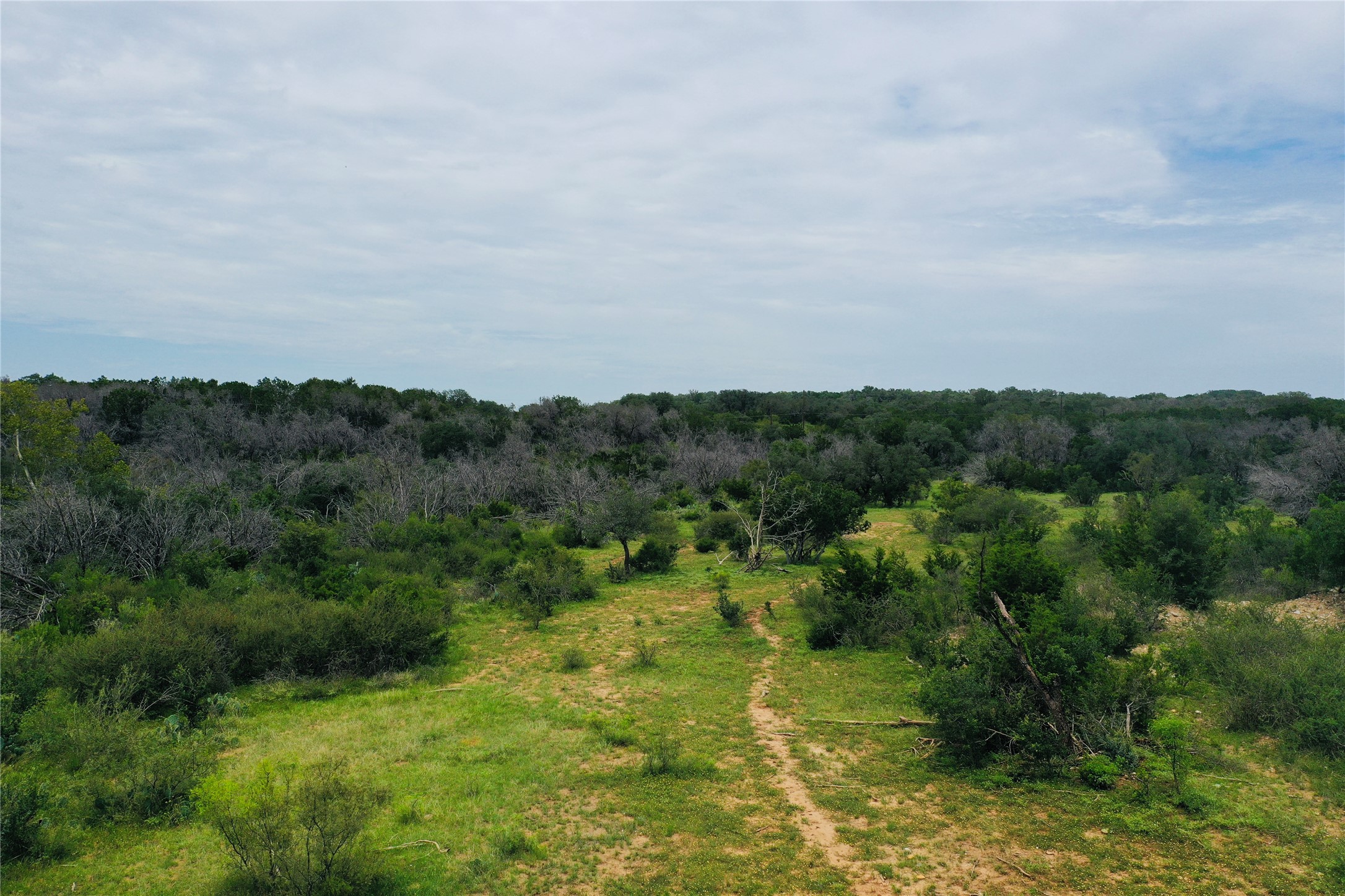 23601 Old Ferry Road, Unit 1 Spicewood, TX 78669 - Photo 12 of 33 a view of a big yard with large trees