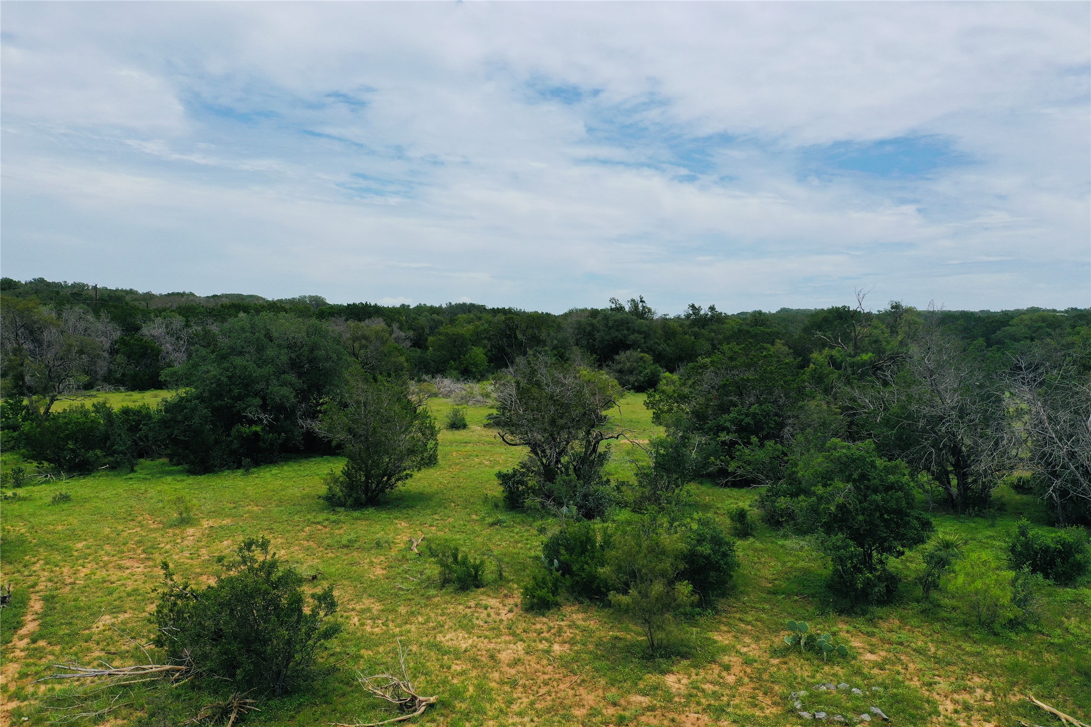23601 Old Ferry Road, Unit 1 Spicewood, TX 78669 - Photo 13 of 33 a view of a garden with a houses