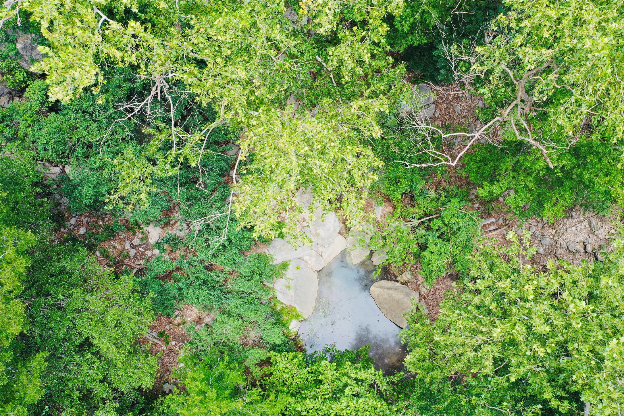 23601 Old Ferry Road, Unit 1 Spicewood, TX 78669 - Photo 15 of 33 an aerial view of a house with a lush green forest