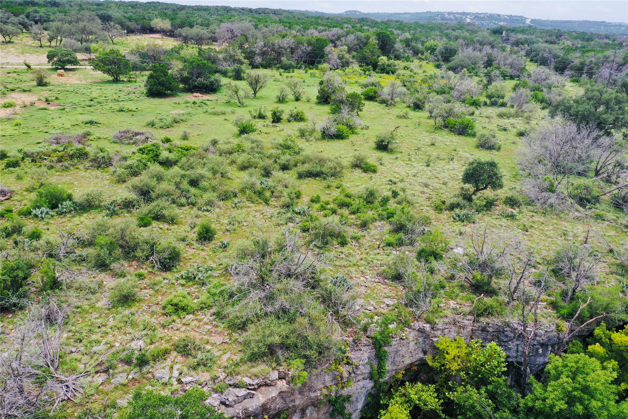 23601 Old Ferry Road, Unit 1 Spicewood, TX 78669 - Photo 17 of 33 a view of a lush green forest with trees and houses