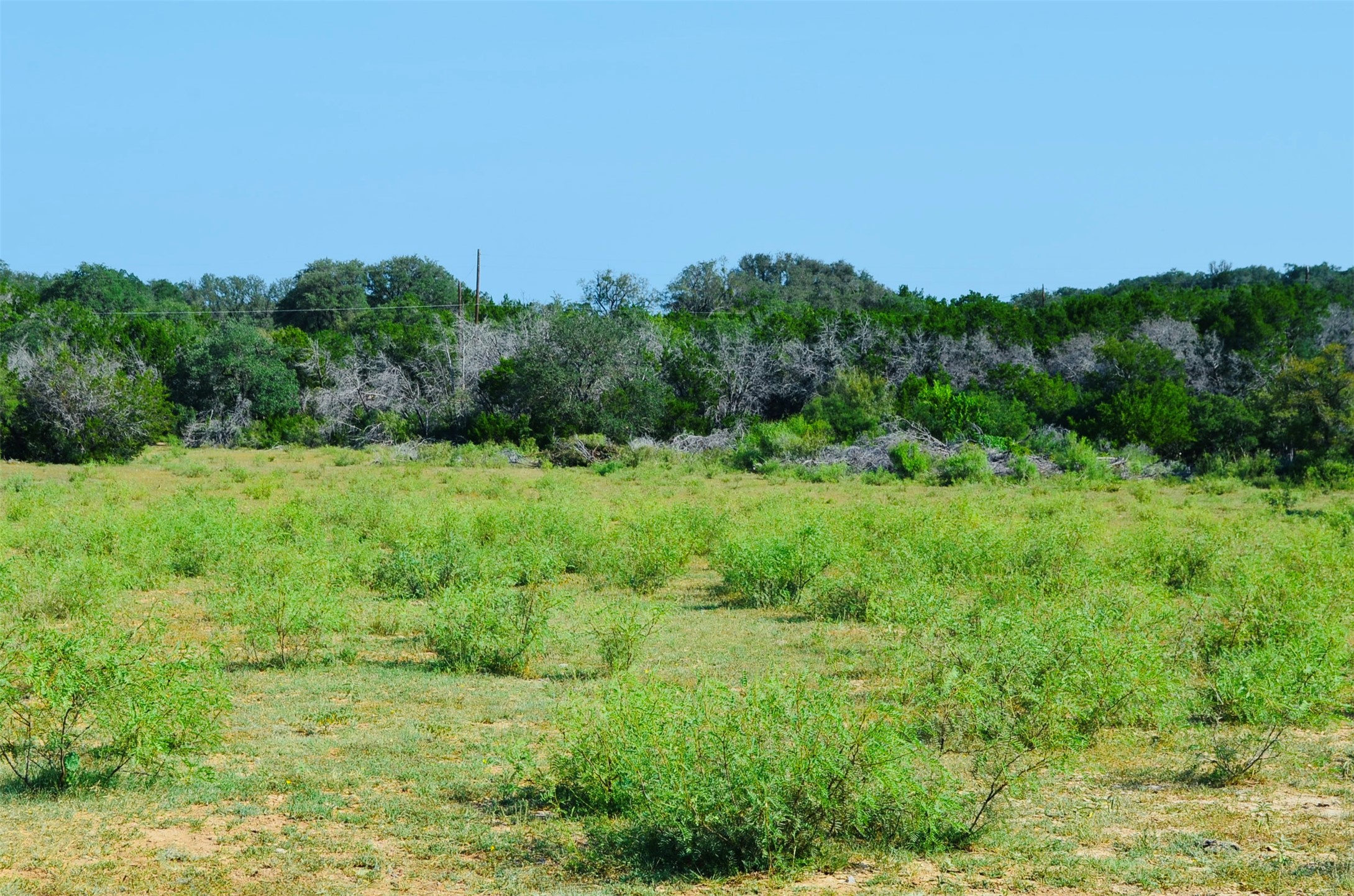 23601 Old Ferry Road, Unit 1 Spicewood, TX 78669 - Photo 18 of 33 a view of a field of grass and trees