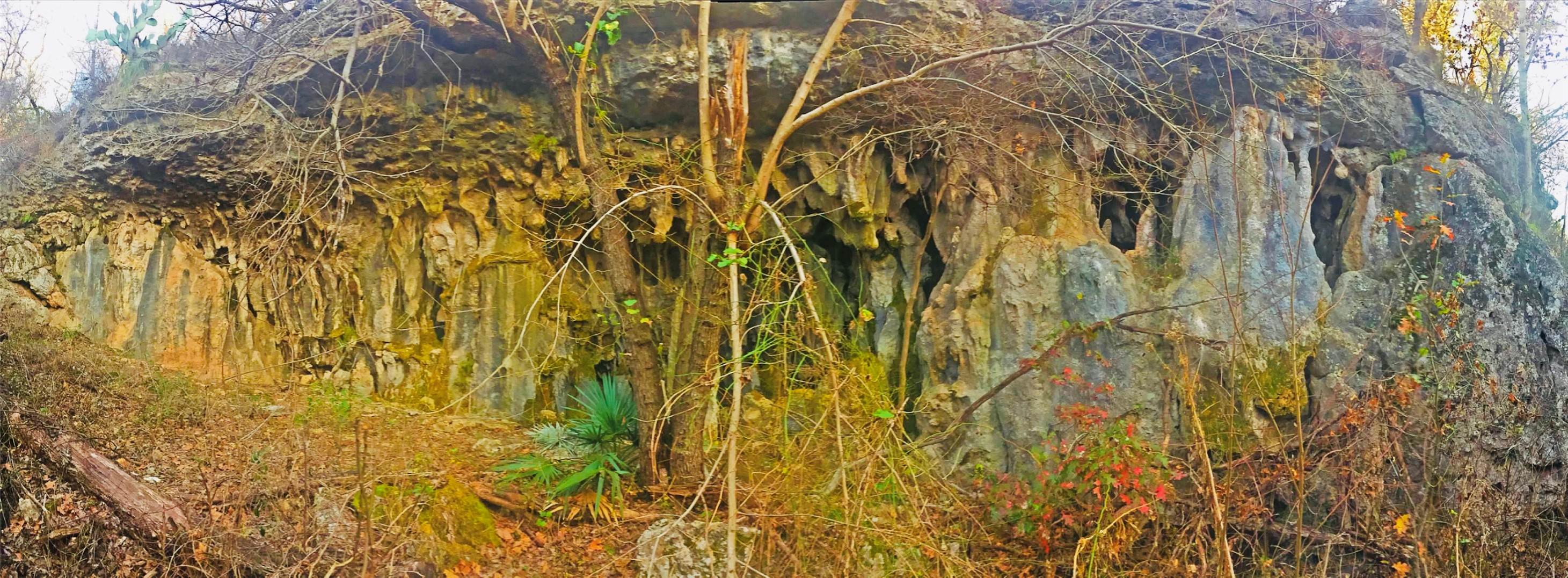 23601 Old Ferry Road, Unit 1 Spicewood, TX 78669 - Photo 27 of 33 a view of a yard of a building