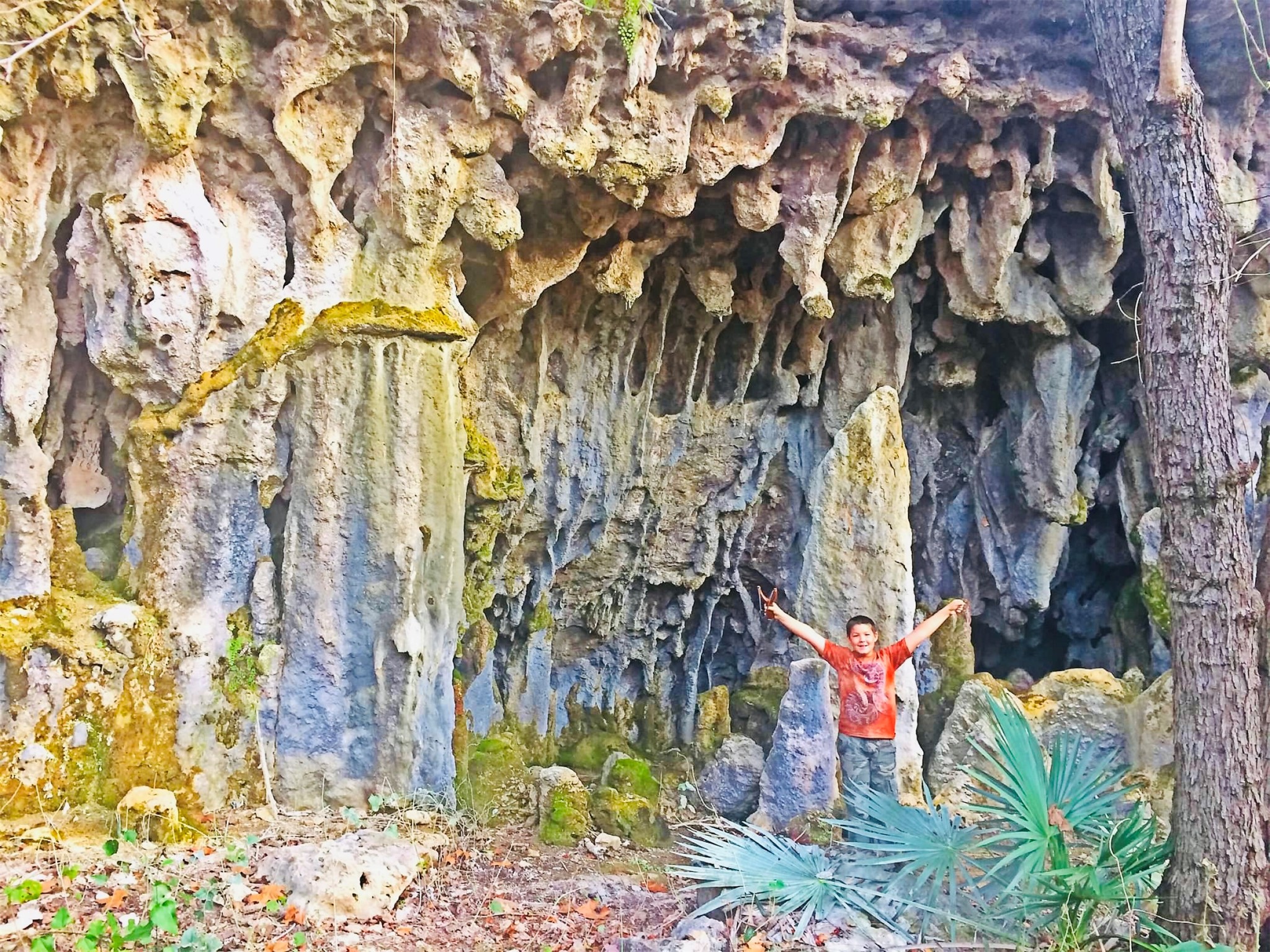 23601 Old Ferry Road, Unit 1 Spicewood, TX 78669 - Photo 28 of 33 a backyard of a house
