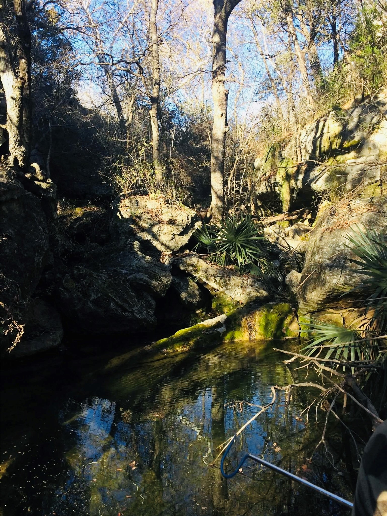 23601 Old Ferry Road, Unit 1 Spicewood, TX 78669 - Photo 30 of 33 a view of a tree