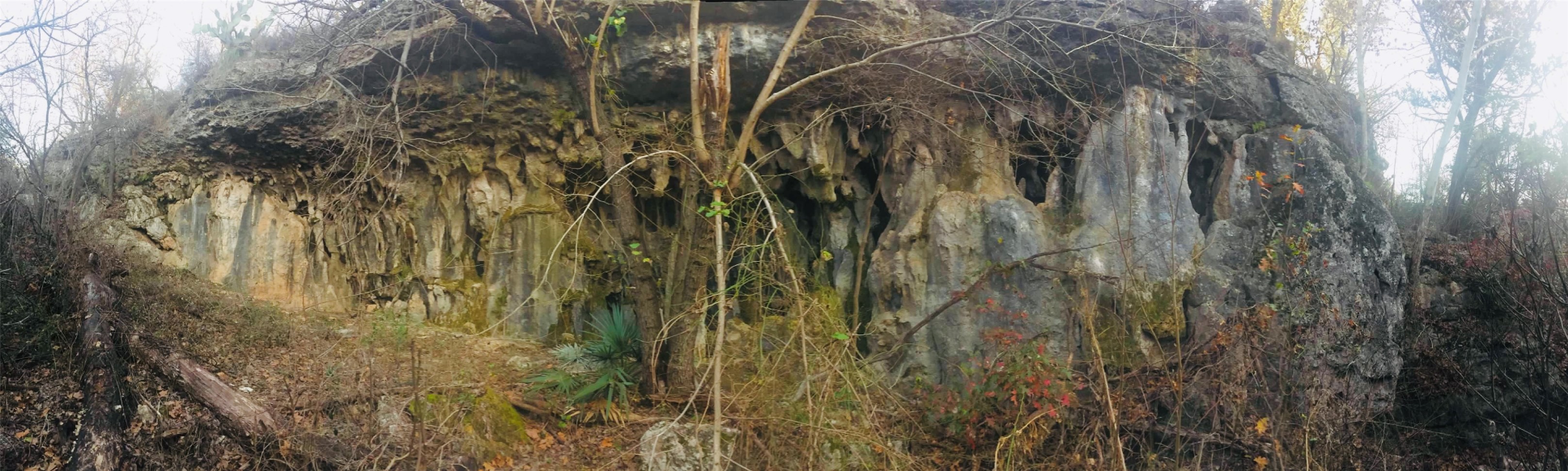 23601 Old Ferry Road, Unit 1 Spicewood, TX 78669 - Photo 31 of 33 a view of a yard