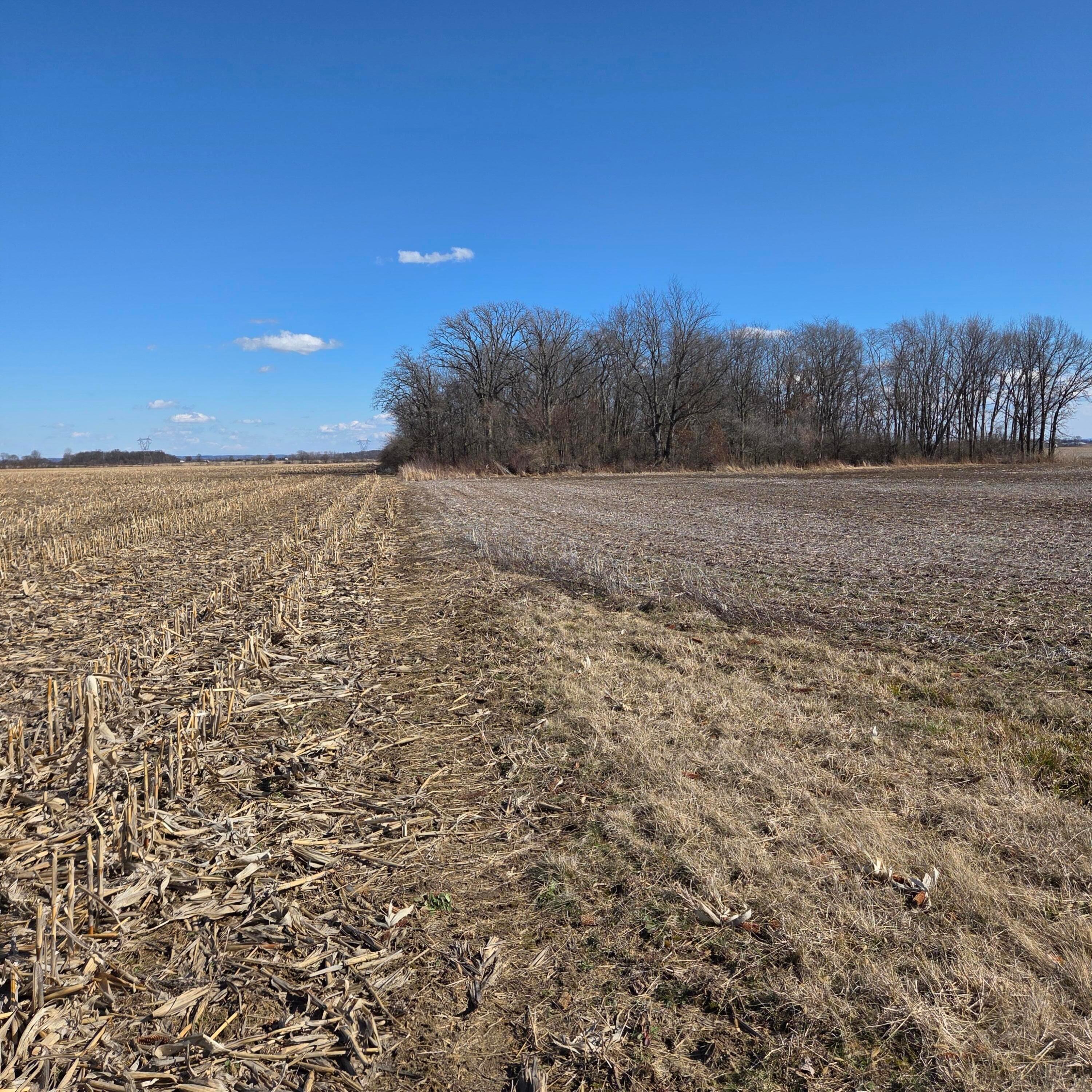 2105 Stonerock Road Williamsport, OH 43164 - Photo 14 of 22 View from road