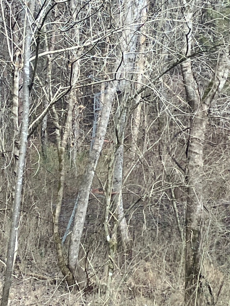 569 West Gooseneck Rd  