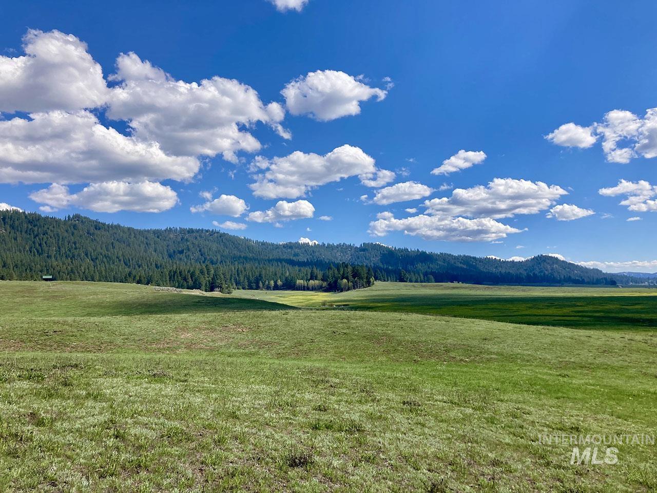 10885 Callender Road Cascade, ID 83611 - Photo 6 of 31 Expansive green fields with rolling topography