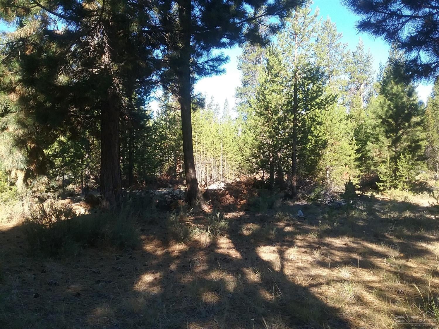 17 Bills Road Gilchrist, OR 97737 - Photo 1 of 17 Gallery Image 1