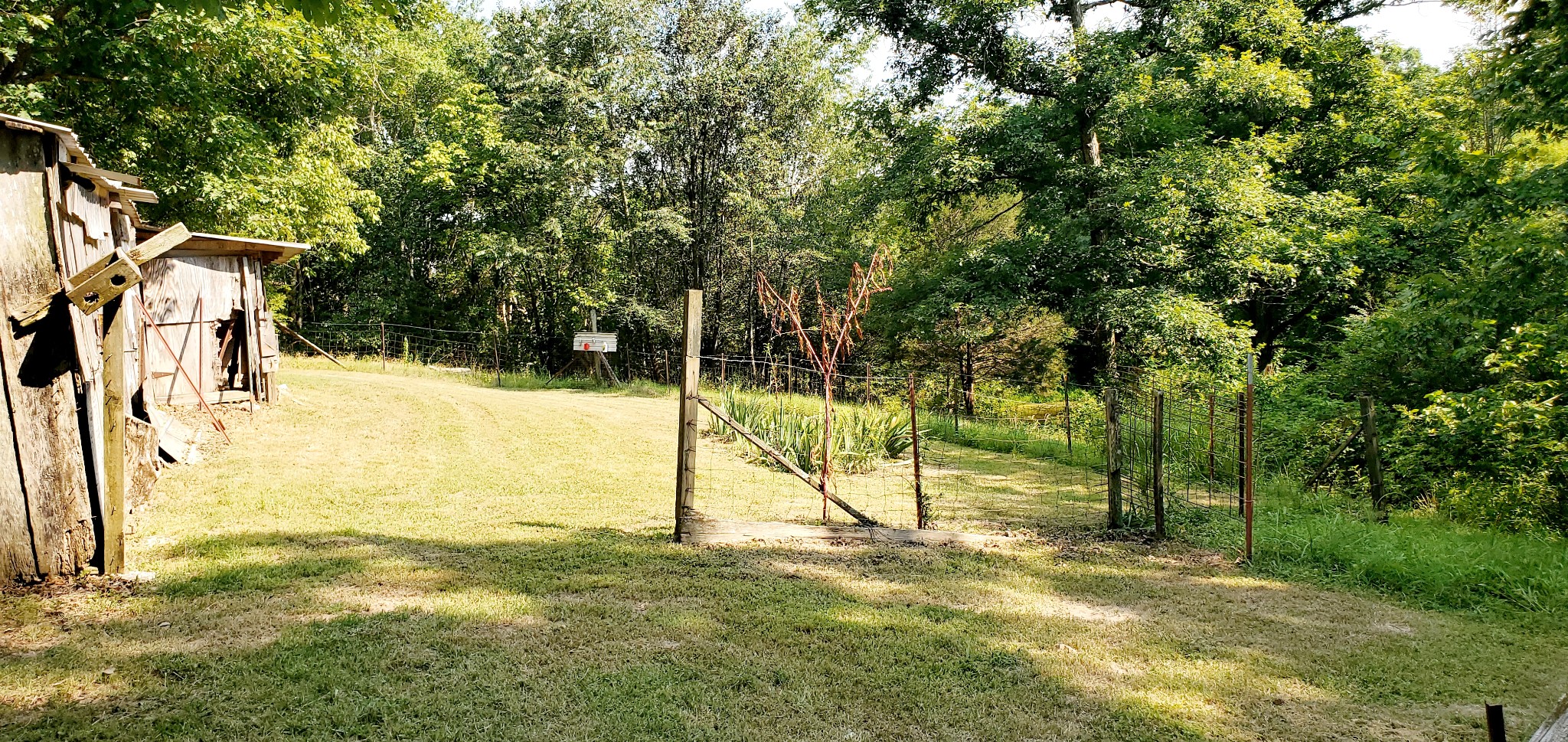 1118 Bandy Road Ashland City, TN 37015 - Photo 30 of 40 Gallery Image 30